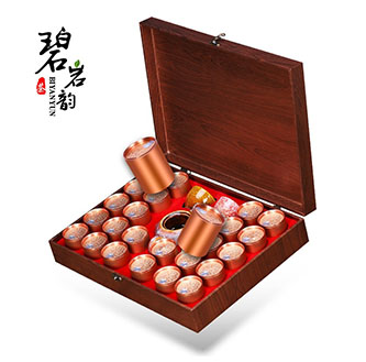 碧岩韵 茶金枝玉叶24罐蜜香金骏眉500g